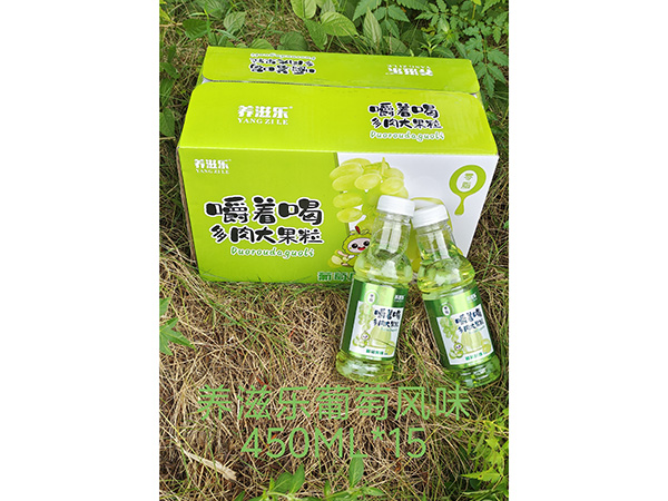 養(yǎng)滋樂(lè)葡萄風(fēng)味 450ML*15